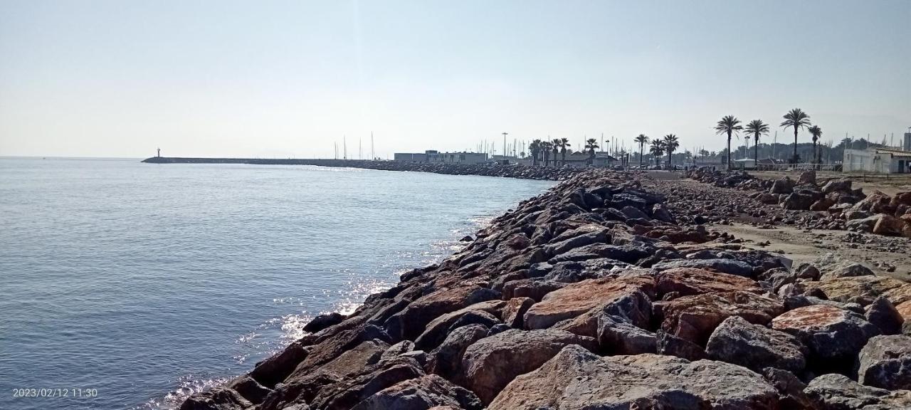 Le Liberte Plage Et Port Saint-Cyprien  Eksteriør bilde